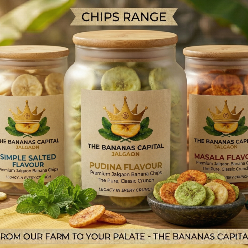 Banana Chips Combo